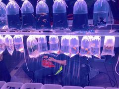 -华声天桥民俗文化园