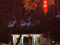 -荔湾湖公园