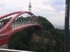 -金鸡山公园