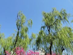 -北京奥林匹克公园