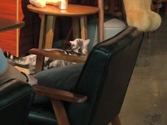 -咖法森林·咖啡  酒吧(天河店)
