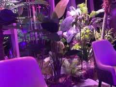 -粉墨特色菜·烧烤音乐酒馆
