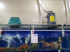 水产区-阿静美食