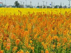 -中国天府农业博览园