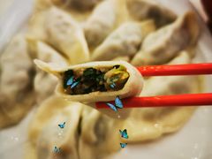 猪肉韭菜水饺-客临百思德·东北特色馆(龙湖时代天街店)