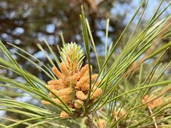 -云峰山自然风景区