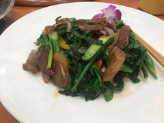 -国家五钻酒家·西樵旺阁渔村(西樵店)
