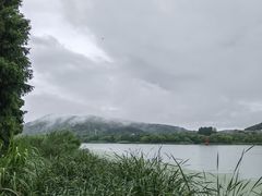 -长广溪湿地公园