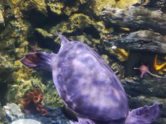-欢乐海岸海洋奇梦馆