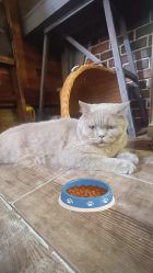 -青木造型HAIR·あおき髪を刈る潮人店