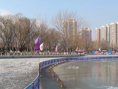 -莲花池公园