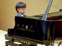 -柏斯音乐艺术中心·钢琴·吉他(上音店)