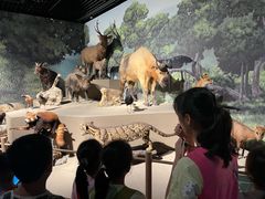 -深圳博物馆历史民俗馆