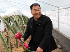 -米果果小镇