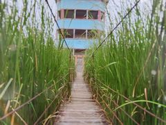 -河北村民俗体验园