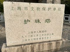 -上海佘山国家森林公园天马山园