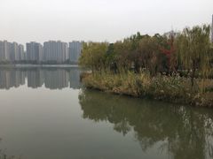 -南翔镇银翔湖公园