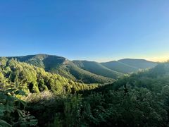 -佛慧山