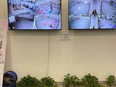 -中央芭蕾舞团·中芭艺蕾(酒仙桥明星校区)