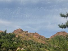 -红山国家森林公园