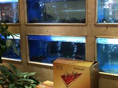 水产区-阿英煲(凉城路店)