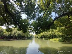 -西溪国家湿地公园