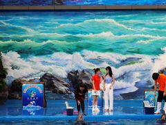 -多彩贵州城极地海洋世界