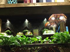 -春天里·老街坊餐厅(港隆广场店)