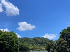-深圳仙湖植物园