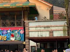 -重庆海昌加勒比海水世界