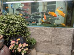 -又见炊烟私房菜(敬亭路店)