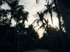 -亚龙湾中心广场