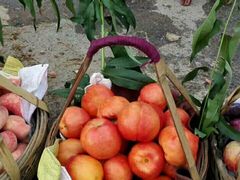 -江杨农产品批发市场