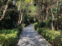 -宝界山林公园