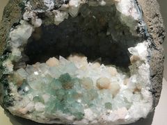 -安徽省地质博物馆