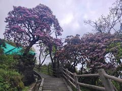 -峨眉山风景名胜区