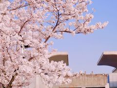 -龙美术馆(西岸馆)