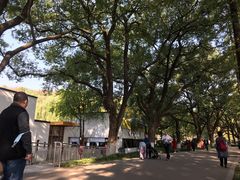 -食膳公园包子铺(烈士公园店)