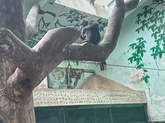 -石家庄市动物园