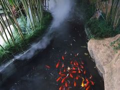 -竹吟山房