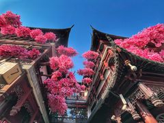 -豫园湖心亭茶楼