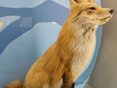 -陕西自然博物馆