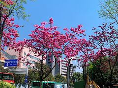 -昆明动物园