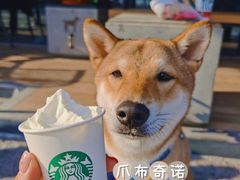 -星巴克(珠海仁恒滨海中心店)