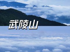 -武陵山森林公园