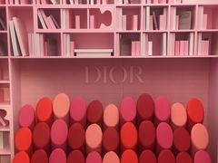 -Dior迪奥(上海世茂广场店)