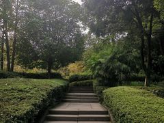 -邓小平故里