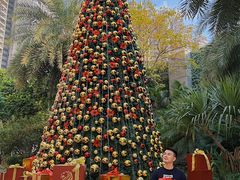 -广州富力丽思卡尔顿酒店