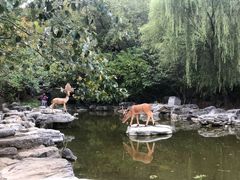 -周口店北京人遗址公园