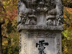 -灵谷景区
